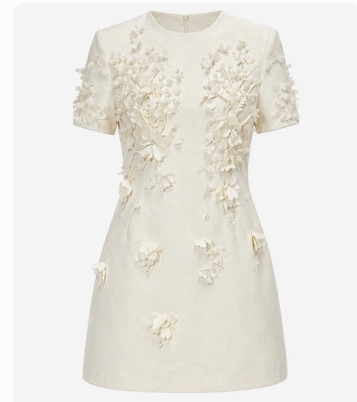 Women’s Ivory Silk Blend A-Line Mini Dress Floral Embroidered Short Sleeve L