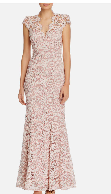 Eliza J Scalloped-Edge Lace Gown Dress Blush light pink 6