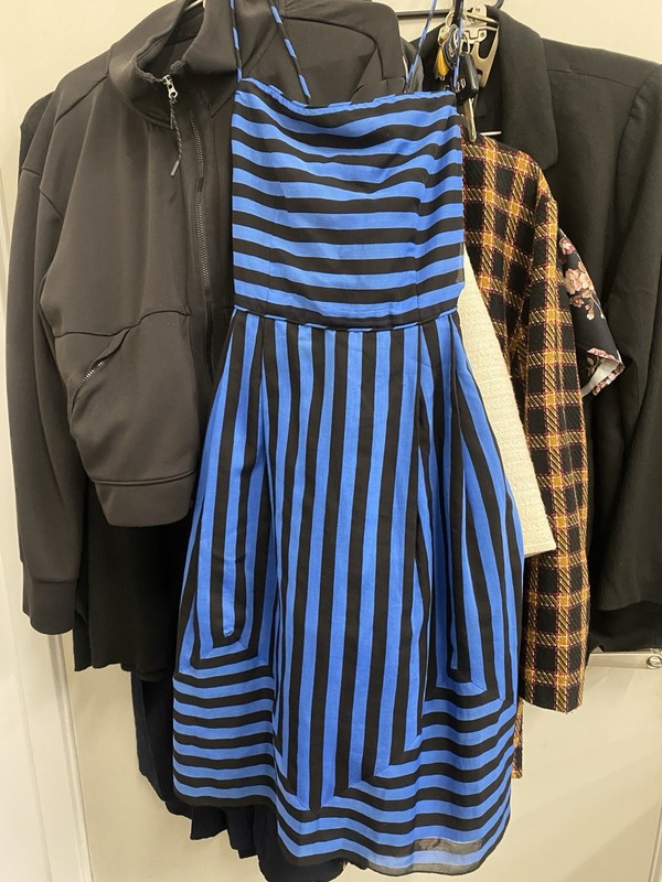 Ana Sui for Anthropologie Striped Sleeveless Fit & Flare Dress 2