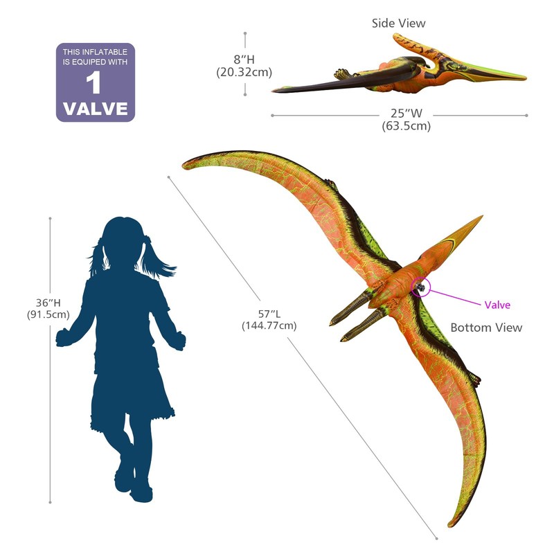 Jet Creations DI-PTE Dinosaur Pteranodon Inflatable 57" Wingspan- Great For Pool gallery
