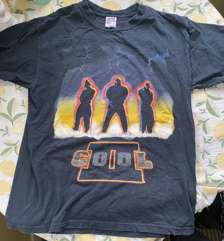 Vintage II Cool WWF wrestling shirt Size L – Black, Anvil, cotton 90s/2000