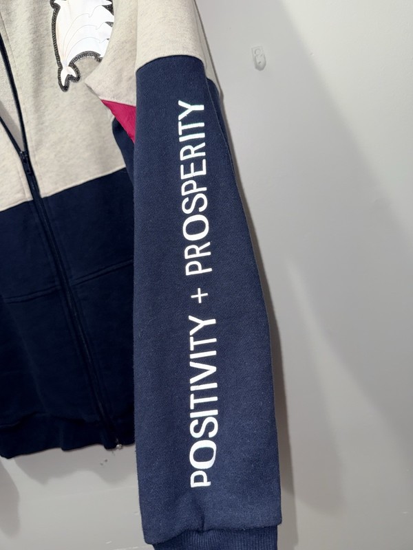 Pink Dolphin HoodieXL Color Block Gray Navy Magenta Reflective Zip Up Streetwear gallery