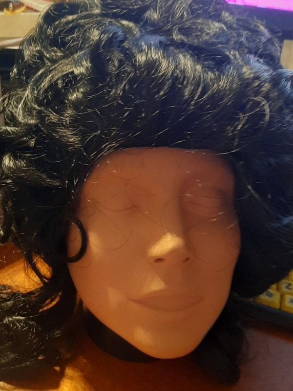 NEW ! Women 14 Inch Curly Wig Straight Dark Blonde