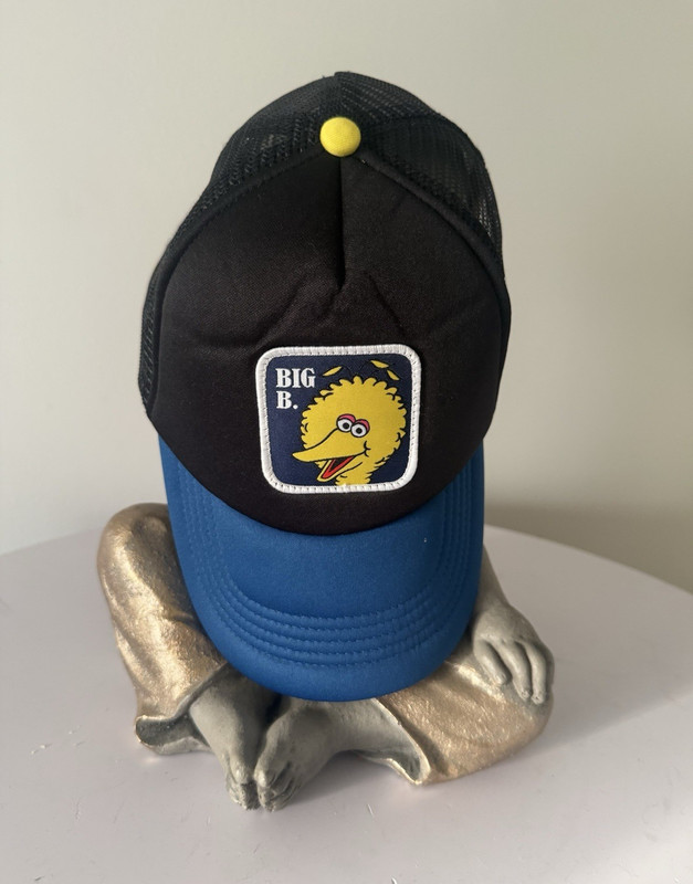 Sesame Street Big Bird Adjustable Mesh Back Trucker Hat Colorblock One Size