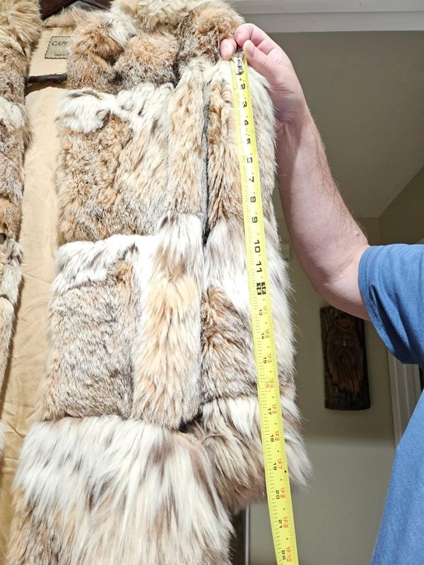 Capitol Furs by Norman, Paris Washington, maybe fox or rabbit gallery