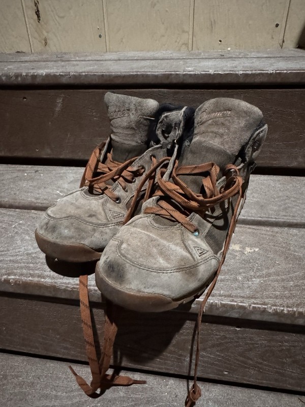 Danner Skyridge Lifestyle Hiking Boots Men’s US 9.5D, Dark Earth