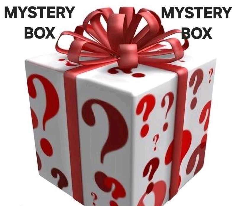 Mystery Boxes- Varies Purses and Apparel Items!!!