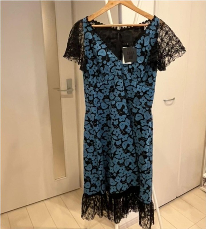 Anna Sui embroidery dress with lace cuffs used Japan