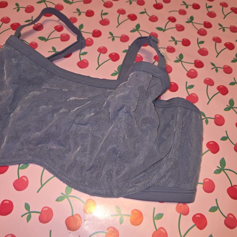 Victoria's Secret PINK Blue Mesh Logo Bra & Thong Set Unlined XXL NWT gallery