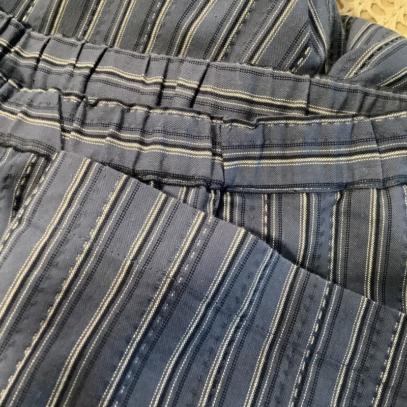 Appleseed's blue white striped elastic waist womens pants size PL - W 34"-40" gallery