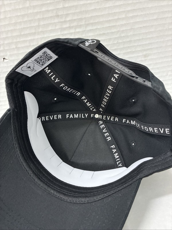 Family Forever Apparel Hat gallery