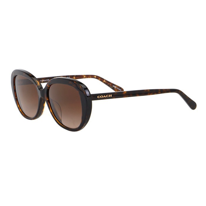 Coach Women’s Oval Sunglasses HC8289F-L1132