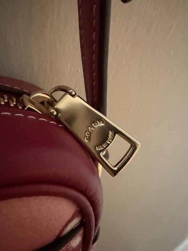 Coach mini jamie camera bag with pink cherry print gallery