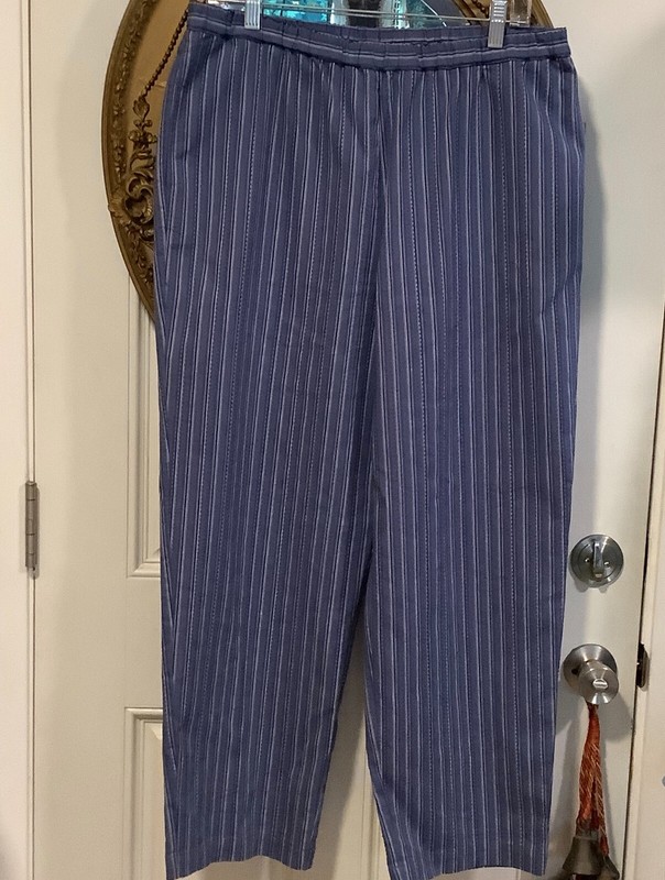 Appleseed's blue white striped elastic waist womens pants size PL - W 34"-40" gallery