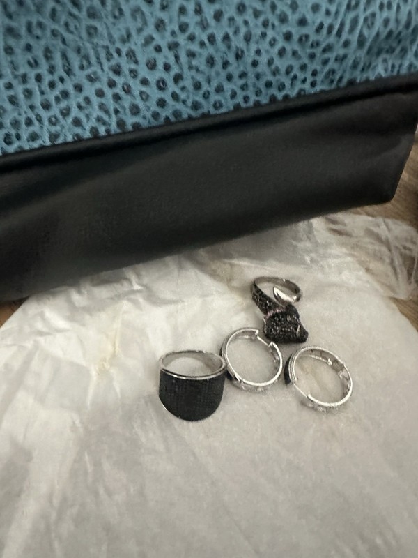 WIDE BLACK DIAMOND RING & HOOP EARRINGS-DOG RING + BLACK LABRADOR XBODY HANDBAG gallery