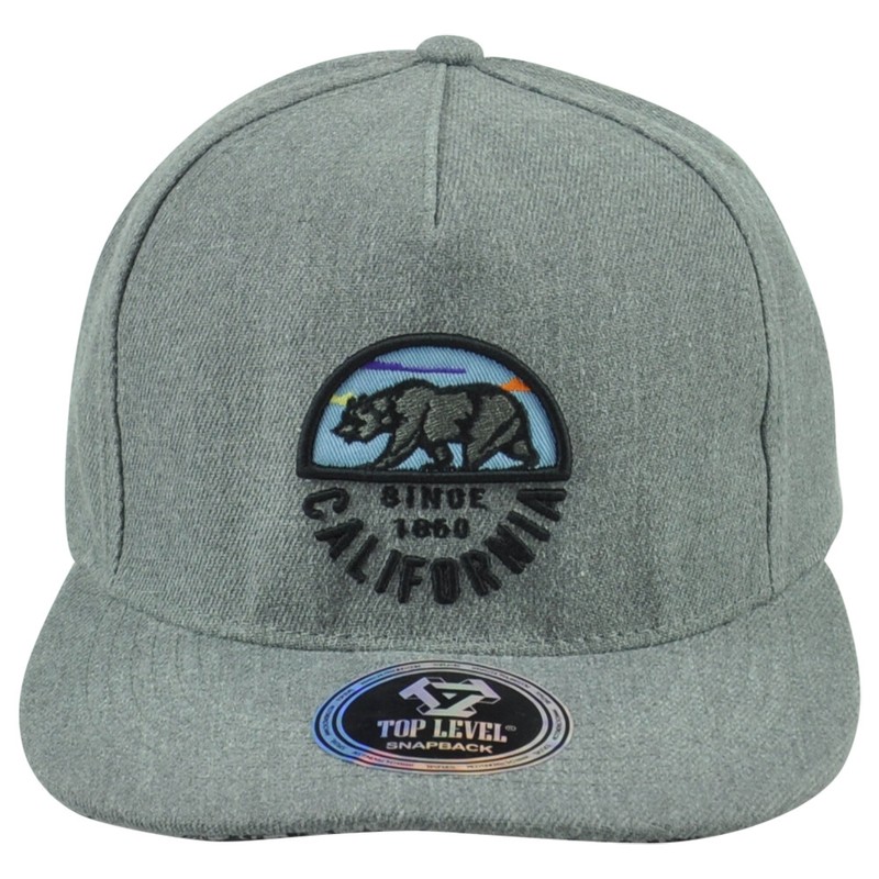 Top Level California Cali Bear Logo 1860 State Flat Bill Adults Snapback Hat Cap