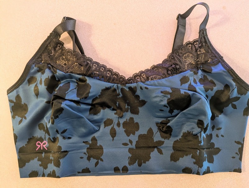 Ruby Ribbon Heritage Lace Demiette Winter Rose — NWT Size 34 (Seamless Shaper) gallery