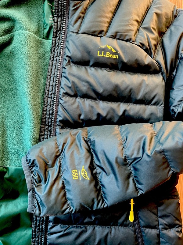 L.L.Bean DownTek 650 Women’s M Regular Green Down Puffer Jacket Full Zip gallery