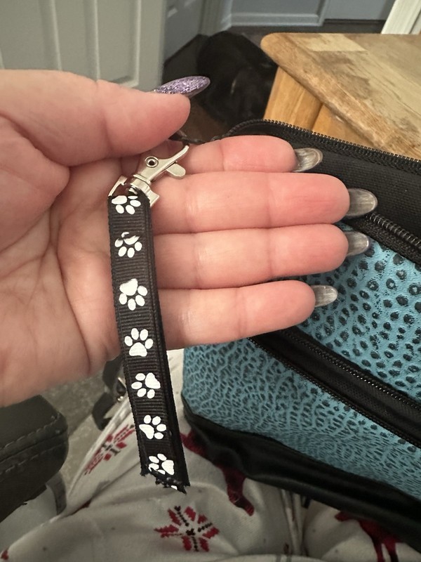 WIDE BLACK DIAMOND RING & HOOP EARRINGS-DOG RING + BLACK LABRADOR XBODY HANDBAG gallery
