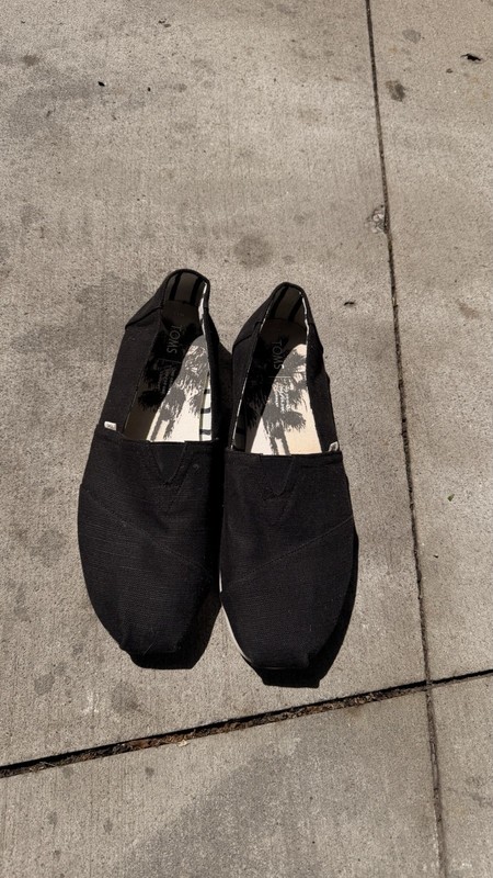mens toms size 12 shoes