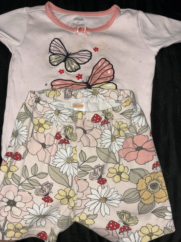 y2k Gymboree Girls 4T Butterfly T-Shirt & Floral Pants Set 2Pc Pink Cotton Knit