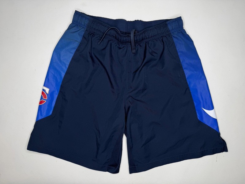 Nike x Minnesota Twins MLB Team Issue Dri Fit Practice Training Shorts L