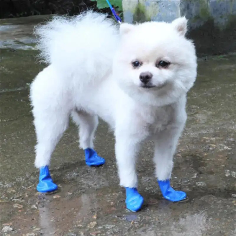 4Pc/Set Waterproof Paw Protector Balloon Rubber Rain Boots Cat Socks Footwear an gallery