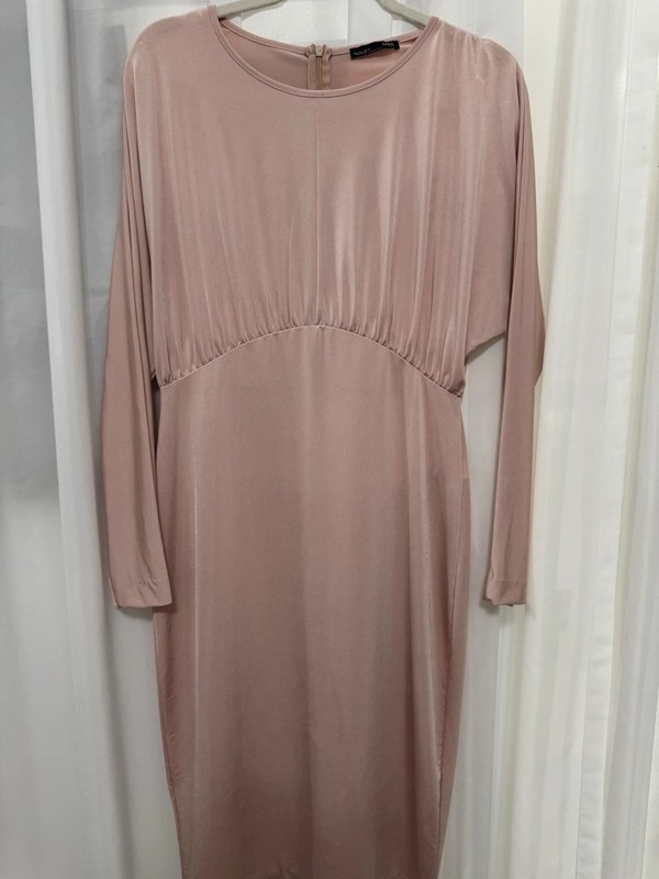 Zara Women’s Pink Solid Long Sleeve Round Neck Midi Sheath Dress Zip L