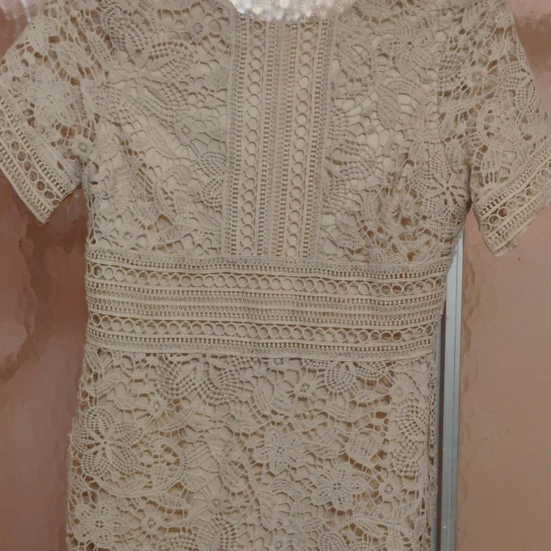 She + Sky Women’s Size L Beige Floral Lace Short Sleeve Round Neck Dress Zip