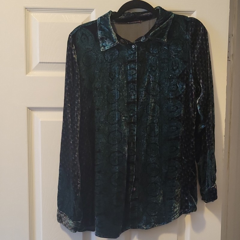 Womens M Multicolor Paisley Velvet Collared Long Sleeve Button Front Blouse
