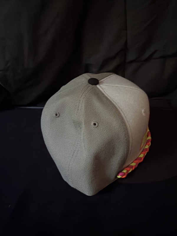 Super Unique Findlay Retail Exclusive Chameleon On Crown Base Snap Back Hat gallery