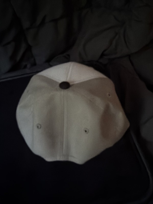 Super Unique Findlay Retail Exclusive Chameleon On Crown Base Snap Back Hat gallery