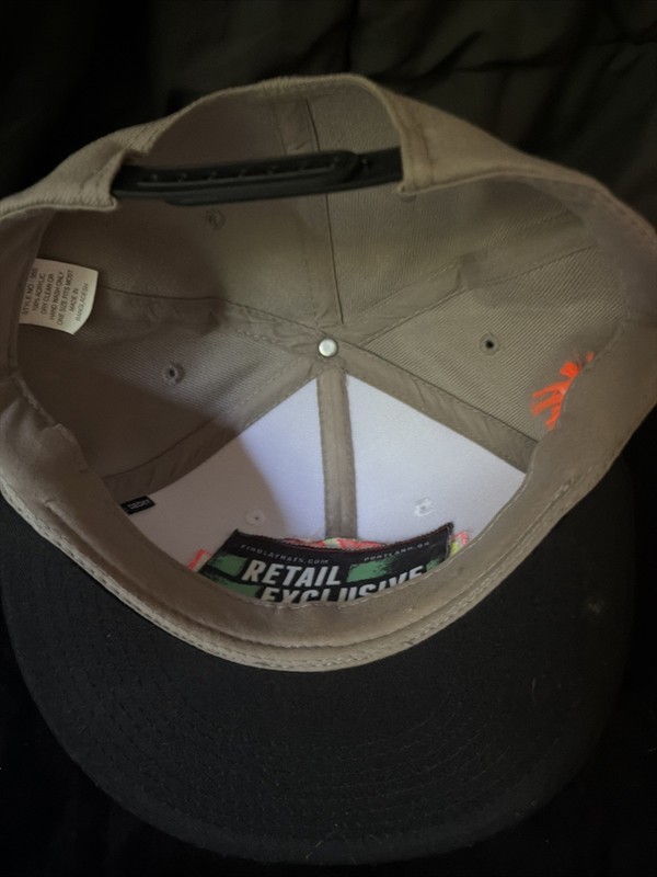 Super Unique Findlay Retail Exclusive Chameleon On Crown Base Snap Back Hat gallery