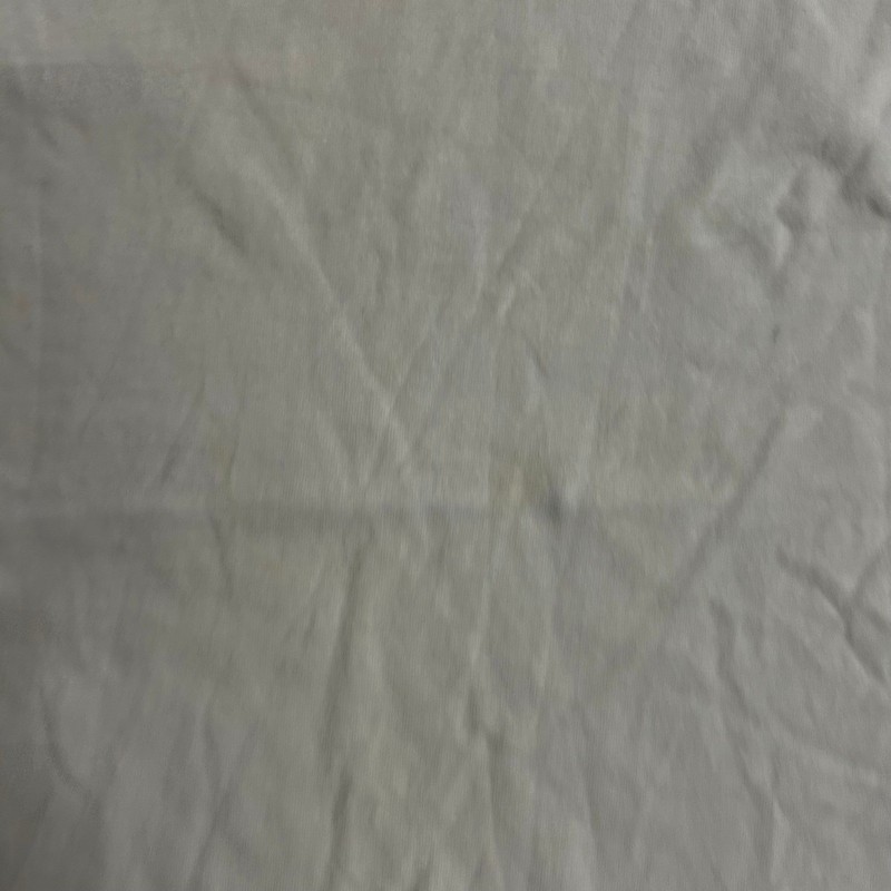 Speedo T-Shirt Mens Size Large White Global Preserve Dolphin Graphic Cotton Tee gallery