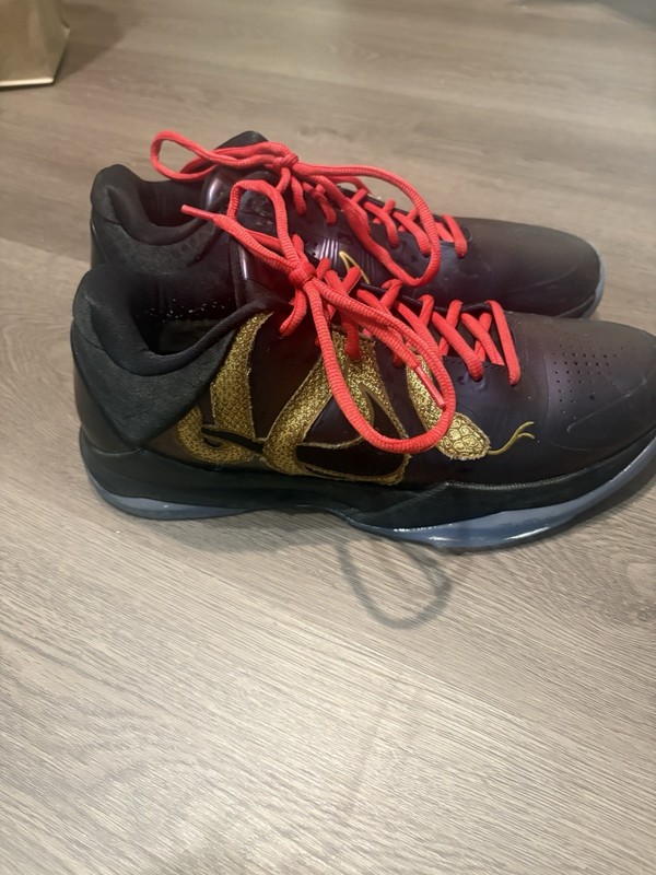 Nike Zoom Kobe 5 Protro Year of the Mamba Eggplant Purple IB4481-500