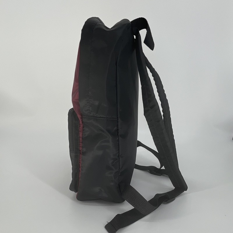 Harry Potter Gryffindor Colorblock Backpack Black/Burgundy Medium Embroidered gallery