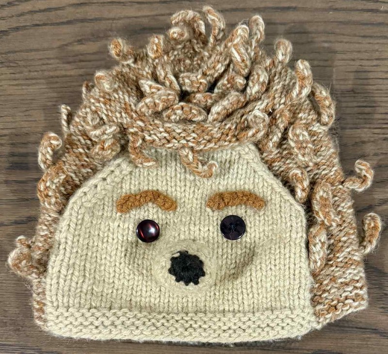 Andes Gifts Child’s Hedgehog Hat Beanie 20 – 21 XL 3 – 5 years 40% Unisex