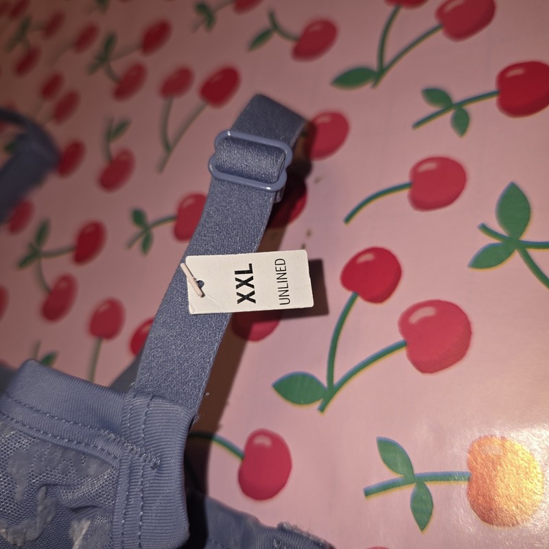 Victoria's Secret PINK Blue Mesh Logo Bra & Thong Set Unlined XXL NWT gallery