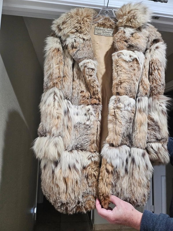 Capitol Furs by Norman, Paris Washington, maybe fox or rabbit gallery