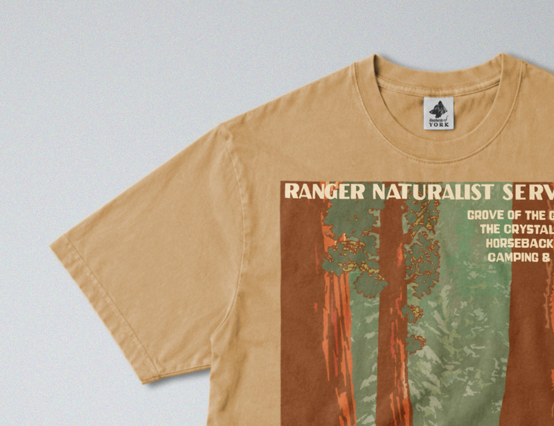 100% Cotton Tee - Regular Fit - Unisex - Sequoia National Park - USA Landscapes gallery