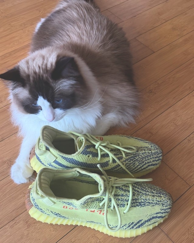 Size 9.5 – adidas Yeezy Boost 350 V2 Low Semi Frozen Yellow