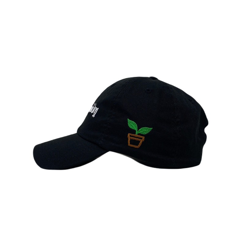 Plant Daddy Dad Hat gallery