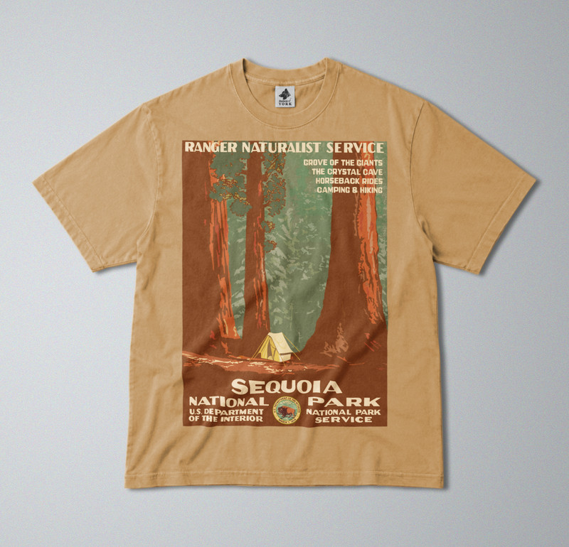 100% Cotton Tee – Regular Fit – Unisex – Sequoia National Park – USA Landscapes