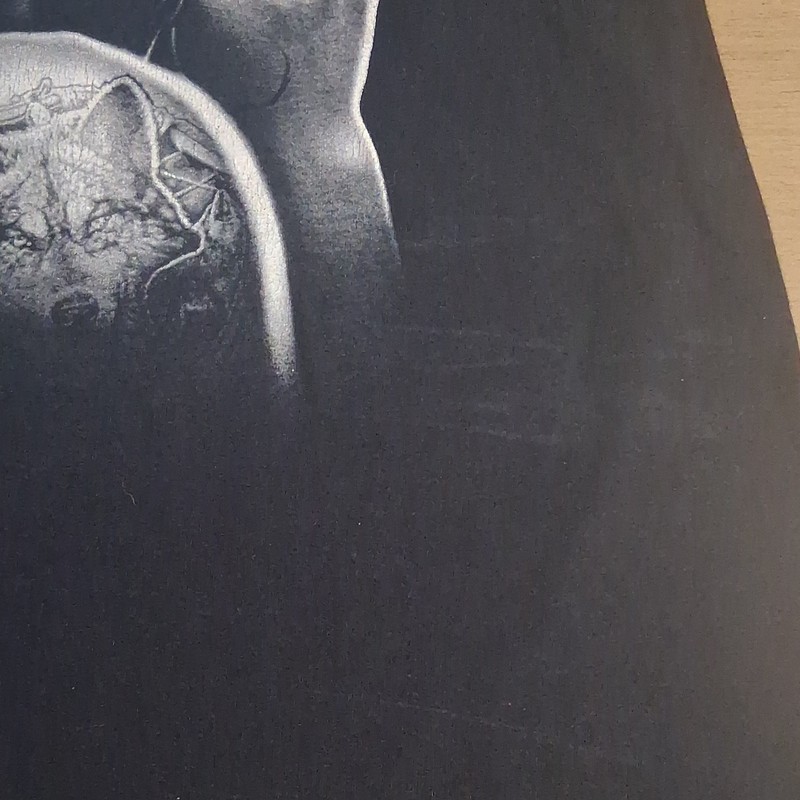 Fruit of the Loom Men's Black Graphic Tee L Grey Wolf Art Cotton Crew Neck gallery