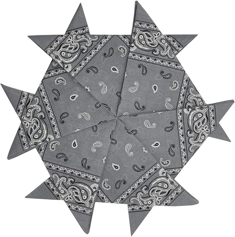 Bandanas 3 Pack 6 Pack 12 Pack 22 Inch Cotton Paisley Kerchiefs for Men and Wome gallery