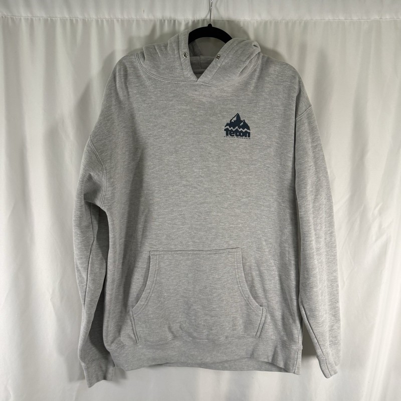 Teton Gravity Research Hoodie Men’s Large Heathered Grey 1996 Mountain Print