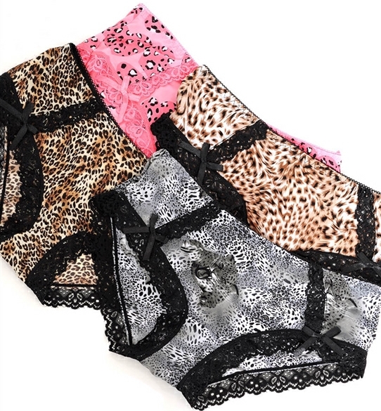 Pink, Gray or Brown Leopard/Cheetah Hipster Boyshort Bikini Panty S/M/L/XL gallery