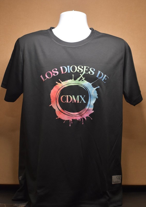 CIUDAD DE MEXICO (CDMX) Quick Dry T-Shirts Size S-4XLT
